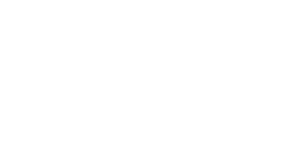 logotipo_siniestros_org_transparente_blanco